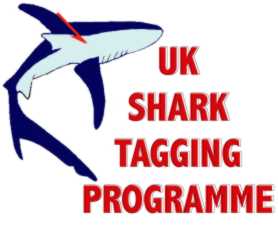 UK Shark logo